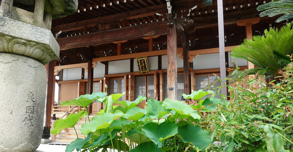 順慶寺写真